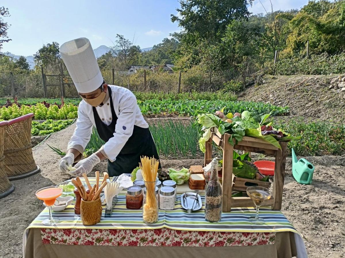 Garjia 파틀리둔 사파리 로지 빌라 외부 사진